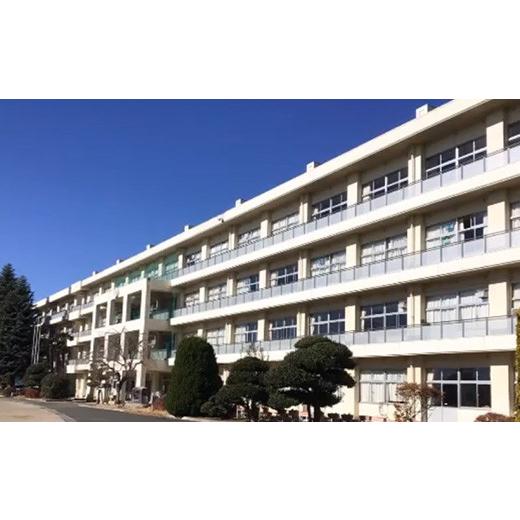 ふるさと納税 米 コシヒカリ 茨城県 笠間市 笠間市立の小・中学校を支援 友部中学校 米 精米 白米 コシヒカリ こしひかり 真空 パック お米 お弁当 おにぎり …