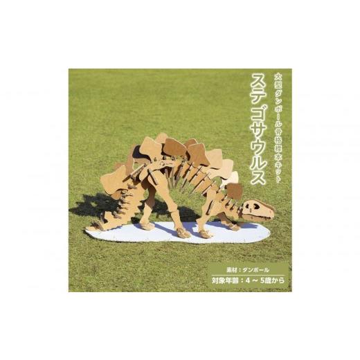 ふるさと納税 雑貨・日用品 玩具 滋賀県 野洲市 Qumu 大型ダンボール骨格標本キット ステゴサウルス