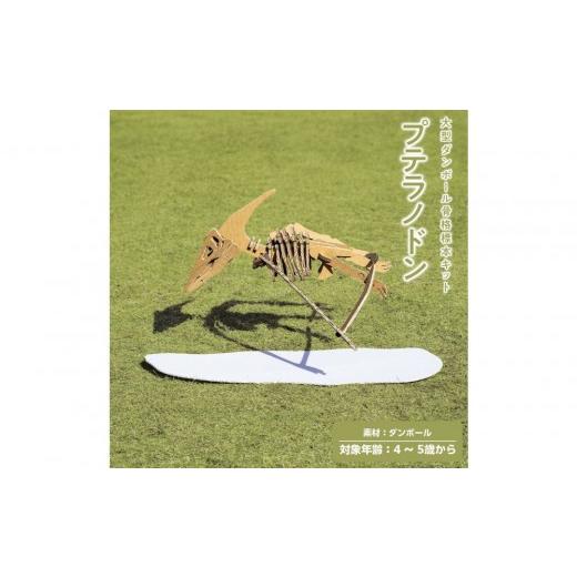 ふるさと納税 雑貨・日用品 玩具 滋賀県 野洲市 Qumu 大型ダンボール骨格標本キット プテラノドン