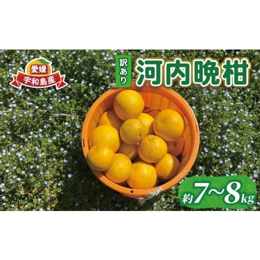 ふるさと納税 みかん・柑橘類 愛媛県 宇和島市 訳あり 河内晩柑 7 〜 8 kg あかまつみかん 和製 グレープフルーツ 晩柑 かわちばんかん さっぱり 酸味 果物 く…