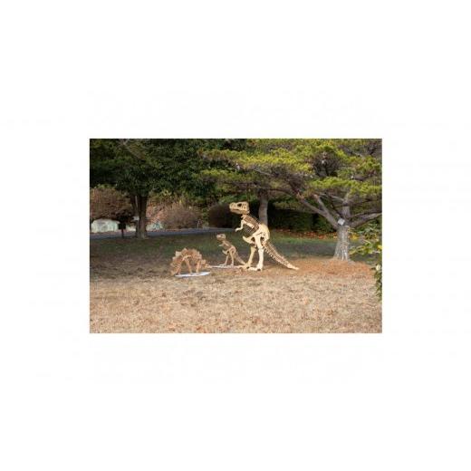 ふるさと納税 雑貨・日用品 玩具 滋賀県 野洲市 Qumu 大型ダンボール骨格標本キット　メガティラノサウルス_4