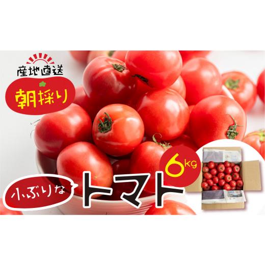 ふるさと納税 野菜類 トマト 岐阜県 本巣市 2025年10月〜発送 大容量 トマト 6kg 令和8年産 大玉トマト の 小ぶり サイズ おまかせ 不揃い 訳あり 訳アリ 野…