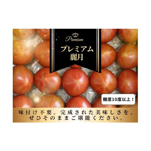 ふるさと納税 野菜類 トマト 宮城県 美里町 糖度10度以上 プレミアム麗月1kg 沖縄・離島配送不可 / とまと 野菜 トマト