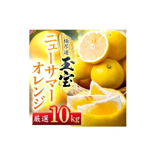 ふるさと納税 みかん・柑橘類 愛媛県 八幡浜市 愛媛名産 玉宝ニューサマーオレンジ 10kg H64-39 1510857