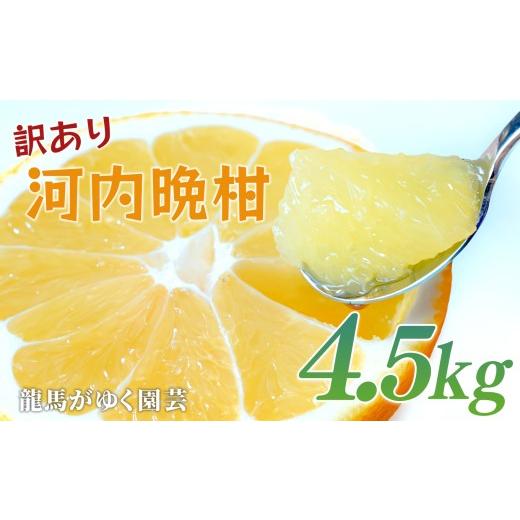 ふるさと納税 みかん・柑橘類 高知県 大月町 訳あり 河内晩柑 4.5kg (M〜5L) ばんかん 晩柑 バンカン 夏文旦 家庭用 みかん 蜜柑 柑橘 フルーツ 果物 サイ…