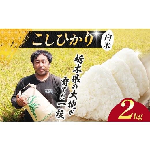 ふるさと納税 米 コシヒカリ 栃木県 下野市 先行予約 米 お米 こめ コメ こしひかり コシヒカリ 2kg |新米 人気 送料無料 2026年産 栃木県産 栃木県 下野市 …