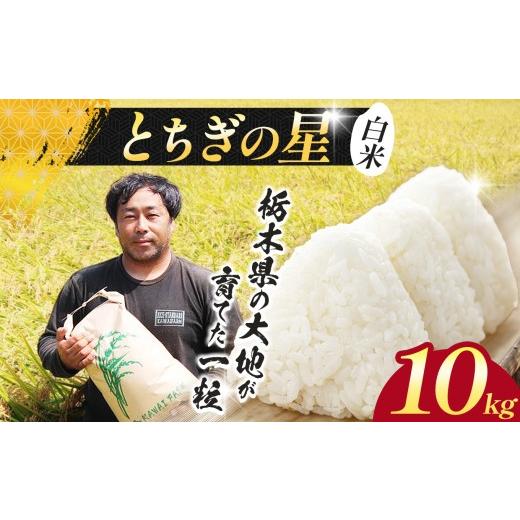 ふるさと納税 米 栃木県 下野市 先行予約 米 お米 こめ とちぎの星 10kg |新米 人気 送料無料 2026年産 栃木県産 栃木県 下野市 とちぎの星 (10kg)|20,00…