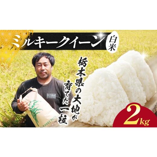 ふるさと納税 米 コシヒカリ 栃木県 下野市 先行予約 米 お米 こめ ミルキークイーン 2kg |新米 人気 送料無料 2026年産 栃木県産 栃木県 下野市 ミルキーク…
