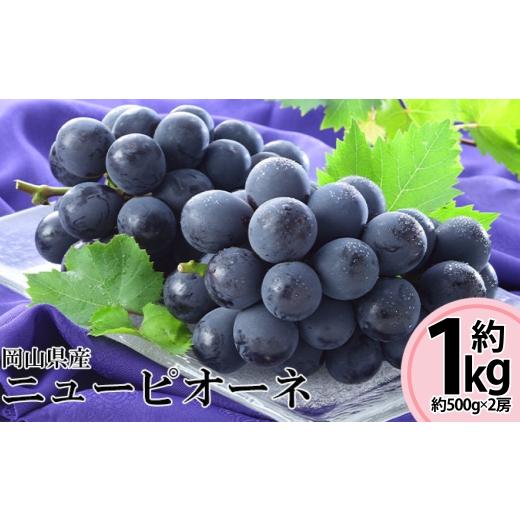 ふるさと納税 果物類 ぶどう 岡山県 奈義町 先行予約岡山県産ニューピオーネ 約500g × 2房 計約1kg 2026年8月下旬〜10月下旬まで順次発送予定 ぶどう ブドウ …