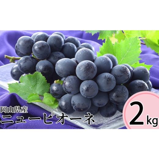 ふるさと納税 果物類 ぶどう 岡山県 奈義町 先行予約岡山県産ニューピオーネ 約2kg ( 3〜6房 ) 2026年8月下旬〜10月下旬まで順次発送予定 ぶどう ブドウ 葡…