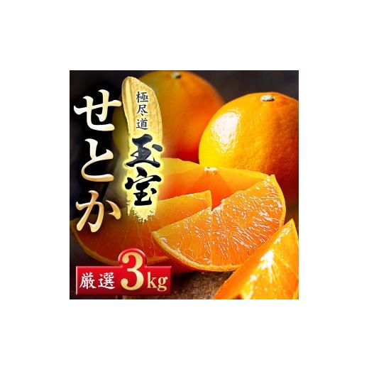ふるさと納税 みかん・柑橘類 愛媛県 八幡浜市 「玉宝ブランド」 せとか 3kg E64-47 _みかん せとか 蜜柑 ミカン 愛媛 柑橘 かんきつ 愛媛みかん 果物 くだも…