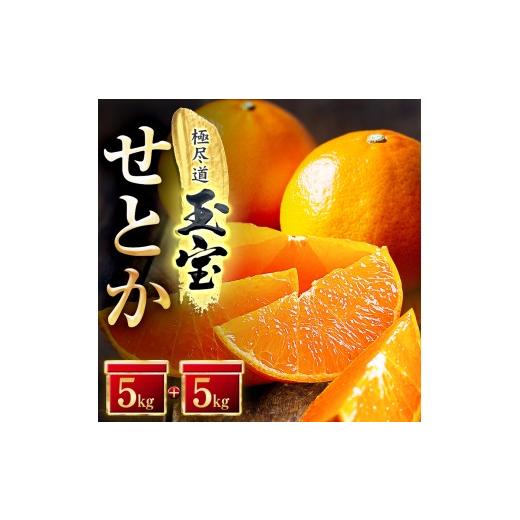 ふるさと納税 みかん・柑橘類 愛媛県 八幡浜市 「玉宝ブランド」 せとか 10kg H64-48 1511361