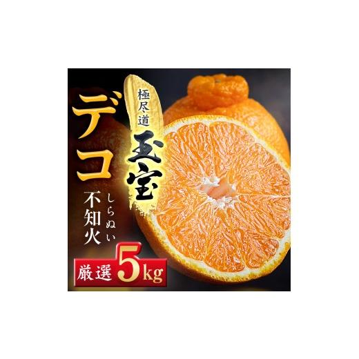 ふるさと納税 みかん・柑橘類 愛媛県 八幡浜市 愛媛名産 玉宝デコ(不知火) 5kg E64-50 1511354