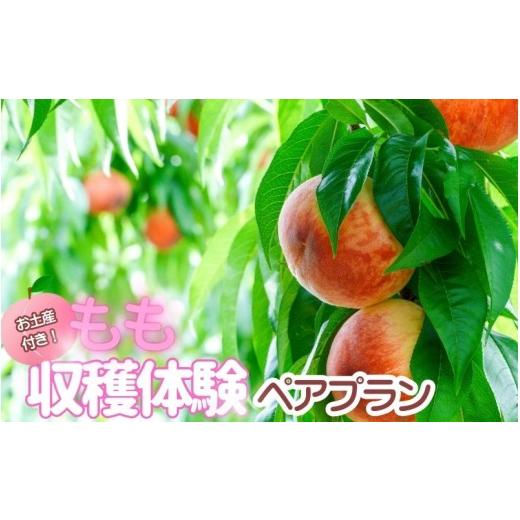 ふるさと納税 体験チケット 和歌山県 かつらぎ町 お土産付き 収穫体験ペアプラン 2名まで / あおぞらふぁーむ 桃 完熟 かつらぎ町 高野山 和歌山県 体験型返…