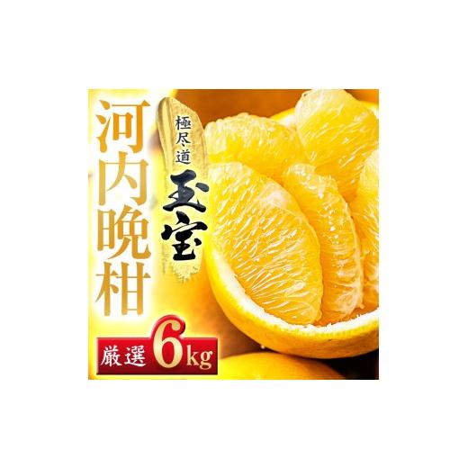 ふるさと納税 みかん・柑橘類 愛媛県 八幡浜市 愛媛名産 玉宝河内晩柑 6kg C64-53 _みかん ミカン 柑橘 河内晩柑 晩柑 フルーツ くだもの 果物 ふるーつ 青…