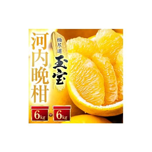 ふるさと納税 みかん・柑橘類 愛媛県 八幡浜市 愛媛名産 玉宝河内晩柑 12kg F64-54 1511222