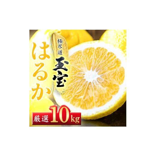 ふるさと納税 みかん・柑橘類 愛媛県 八幡浜市 愛媛名産 玉宝はるか 10kg F64-57 1511219