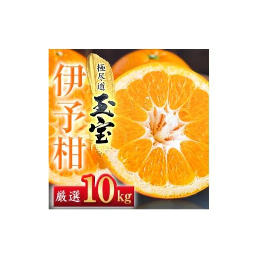 ふるさと納税 みかん・柑橘類 愛媛県 八幡浜市 愛媛名産 玉宝伊予柑 10kg F64-60 1510839