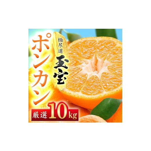 ふるさと納税 みかん・柑橘類 愛媛県 八幡浜市 愛媛名産 玉宝ポンカン 10kg F64-66 1621808