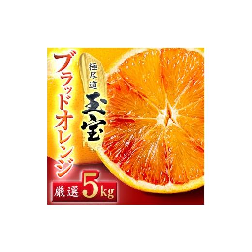 ふるさと納税 みかん・柑橘類 愛媛県 八幡浜市 愛媛名産 玉宝ブラッドオレンジ(タロッコ) 5kg E64-68 1621810