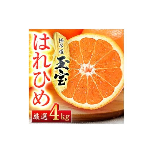 ふるさと納税 みかん・柑橘類 愛媛県 八幡浜市 愛媛名産 玉宝はれひめ 4kg C64-70 1621812