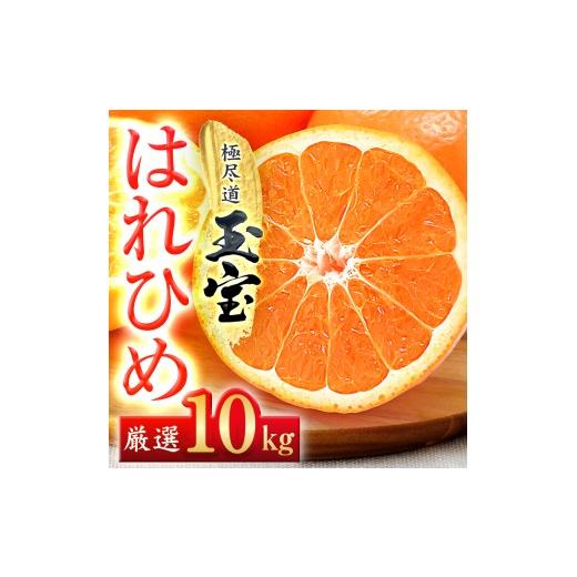ふるさと納税 みかん・柑橘類 愛媛県 八幡浜市 愛媛名産 玉宝はれひめ 10kg F64-72 1621817