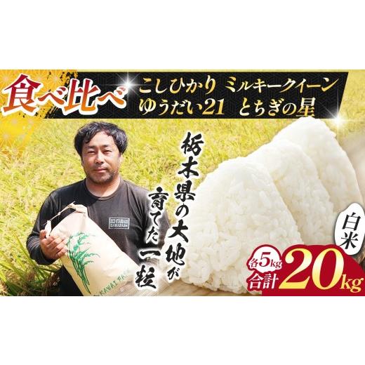 ふるさと納税 米 コシヒカリ 栃木県 下野市 先行予約 米 お米 4種 食べ比べ コシヒカリ とちぎの星 ゆうだい ミルキークイーン 各5kg 合計20kg |新米 人気 送…