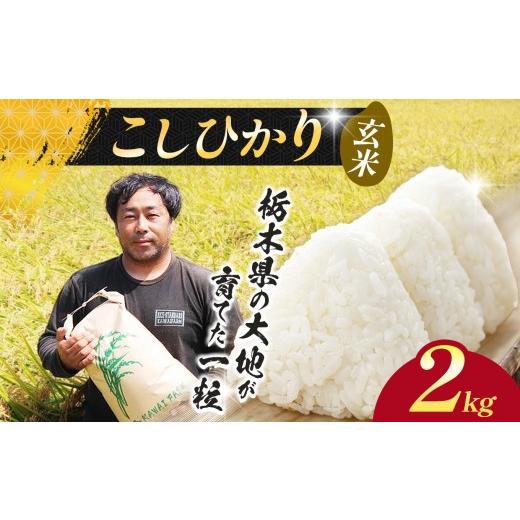 ふるさと納税 玄米 栃木県 下野市 先行予約 米 お米 こしひかり コシヒカリ 玄米 2kg |新米 玄米 特A 人気 送料無料 2026年産 栃木県産 栃木県 下野市 コシヒ…