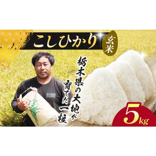 ふるさと納税 米 コシヒカリ 栃木県 下野市 先行予約 米 お米 こしひかり コシヒカリ 玄米 5kg |新米 玄米 特A 人気 送料無料 2026年産 栃木県産 栃木県 下野…