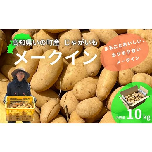 ふるさと納税 野菜類 じゃがいも 高知県 いの町 じゃがいも10kg(メークイン)