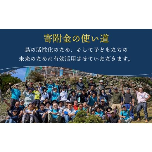 ふるさと納税 牛肉 ロース 長崎県 小値賀町  全12回定期便 長崎和牛 ロースステーキ 総計4.8kg（約400g／回） ながさき西海農業協同組合 DBV039 DBV039_7