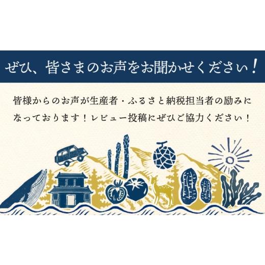 ふるさと納税 牛肉 ロース 長崎県 小値賀町  全12回定期便 長崎和牛 ロースステーキ 総計4.8kg（約400g／回） ながさき西海農業協同組合 DBV039 DBV039_8