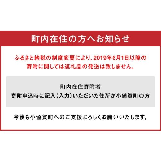 ふるさと納税 牛肉 ロース 長崎県 小値賀町  全12回定期便 長崎和牛 ロースステーキ 総計4.8kg（約400g／回） ながさき西海農業協同組合 DBV039 DBV039_9