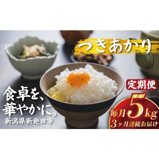 ふるさと納税 米 新潟県 新発田市 令和7年産 定期便3ヵ月 定期便 令和7年産 つきあかり 5kg×3回 計15kg コシヒカリ こしひかり 同等以上の食味 ご飯 備蓄 コ…