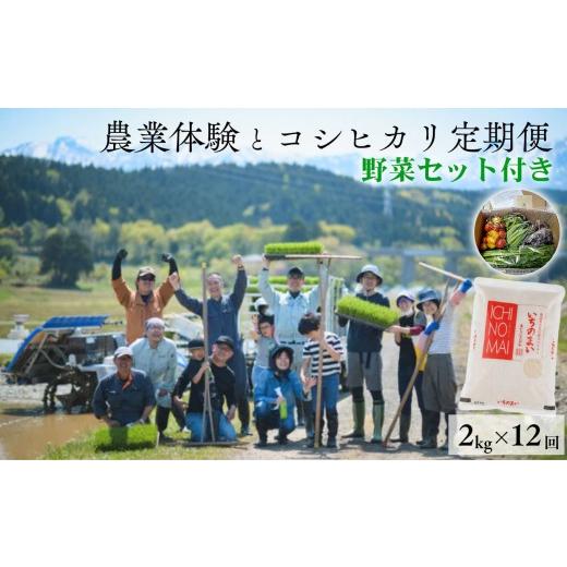 ふるさと納税 米 コシヒカリ 新潟県 糸魚川市 農業体験+お米の定期便『米主』プロジェクト 野菜セット付き コシヒカリ2kg×12回 計24kg (2026年10月〜翌年9月…