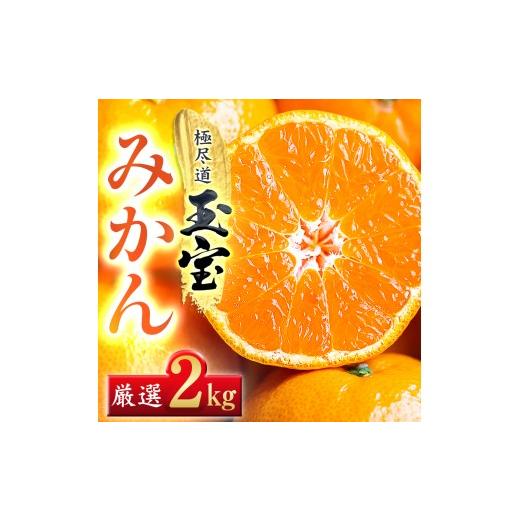 ふるさと納税 果物類 みかん 愛媛県 八幡浜市 愛媛名産 玉宝みかん 2kg A64-84 1623967