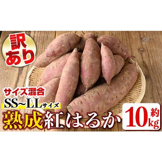 ふるさと納税 野菜類 サツマイモ 鹿児島県 伊佐市 isa877 [訳あり]熟成紅はるか(約10kg・SS〜LLサイズ混合) 訳あり さつまいも 紅はるか 鹿児島 生芋 完熟 …