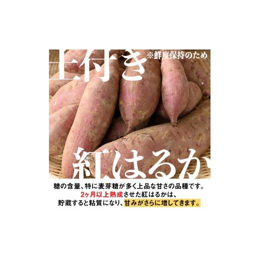 ふるさと納税 野菜類 サツマイモ 鹿児島県 伊佐市 isa877 《訳あり》熟成紅はるか(約10kg・SS〜LLサイズ混合) 訳あり さつまいも 紅はるか 鹿児島 生芋 完熟 …の画像