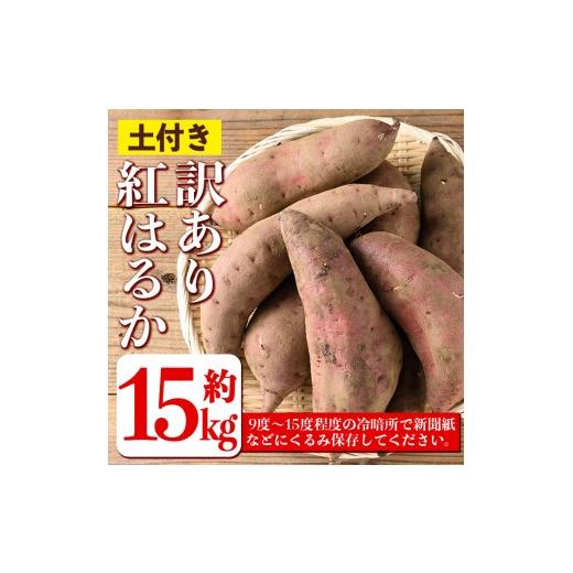ふるさと納税 野菜類 サツマイモ 鹿児島県 伊佐市 isa876 《訳あり》熟成紅はるか(約15kg・2L〜3Lサイズ混合) 訳あり さつまいも 紅はるか 鹿児島 生芋 完熟 …の画像