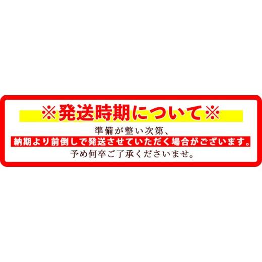 ふるさと納税 野菜類 サツマイモ 鹿児島県 伊佐市 isa876 《訳あり》熟成紅はるか(約15kg・2L〜3Lサイズ混合) 訳あり さつまいも 紅はるか 鹿児島 生芋 完熟 …の画像