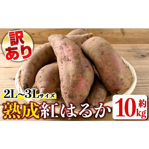 ふるさと納税 野菜類 サツマイモ 鹿児島県 伊佐市 isa875 《訳あり》熟成紅はるか(約10kg・2L〜3Lサイズ混合) 訳あり さつまいも 紅はるか 鹿児島 生芋 完熟 …の画像