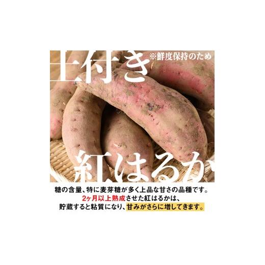 ふるさと納税 野菜類 サツマイモ 鹿児島県 伊佐市 isa875 《訳あり》熟成紅はるか(約10kg・2L〜3Lサイズ混合) 訳あり さつまいも 紅はるか 鹿児島 生芋 完熟 …の画像