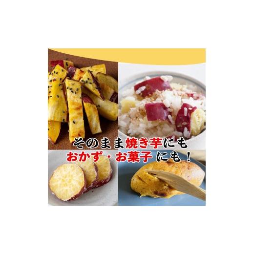 ふるさと納税 野菜類 サツマイモ 鹿児島県 伊佐市 isa875 《訳あり》熟成紅はるか(約10kg・2L〜3Lサイズ混合) 訳あり さつまいも 紅はるか 鹿児島 生芋 完熟 …の画像