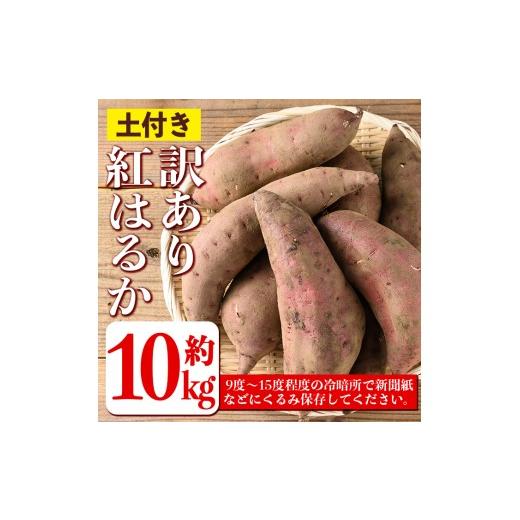ふるさと納税 野菜類 サツマイモ 鹿児島県 伊佐市 isa875 《訳あり》熟成紅はるか(約10kg・2L〜3Lサイズ混合) 訳あり さつまいも 紅はるか 鹿児島 生芋 完熟 …の画像