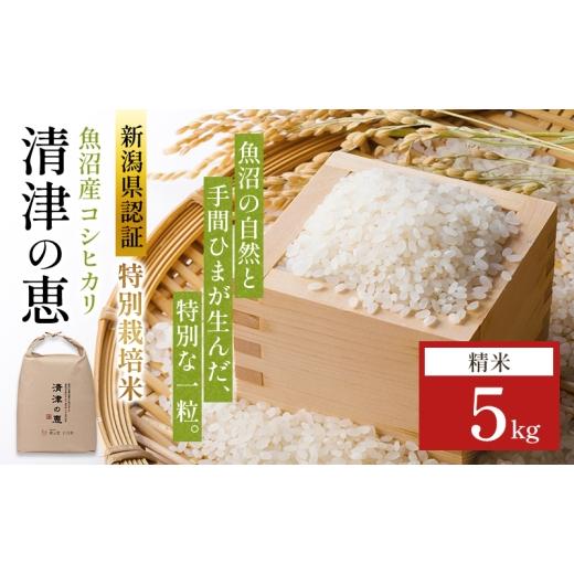 ふるさと納税 米 コシヒカリ 新潟県 十日町市 令和8年産 先行予約 魚沼産特別栽培米コシヒカリ[清津の恵]精米5kg