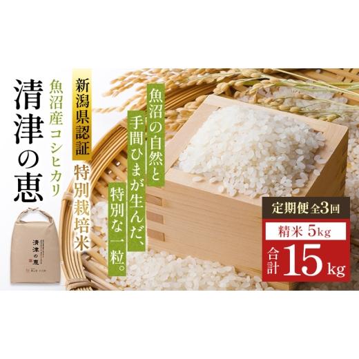 ふるさと納税 米 コシヒカリ 新潟県 十日町市 令和8年産 先行予約 [定期便]魚沼産特別栽培米コシヒカリ[清津の恵]精米5kg全3回