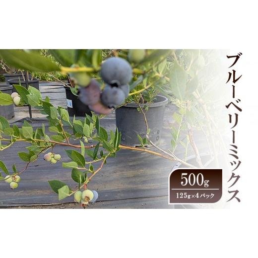 ふるさと納税 ぶどう 長野県 長野市 ブルーベリーミックス500g(125g×4パック)