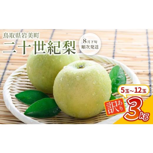 ふるさと納税 梨 鳥取県 岩美町 先行予約 (訳あり)中野農園 梨 "二十世紀梨" 3kg|鳥取 岩美 梨 なし ナシ 20世紀梨 青梨 果物 フルーツ お届けは2026年8…