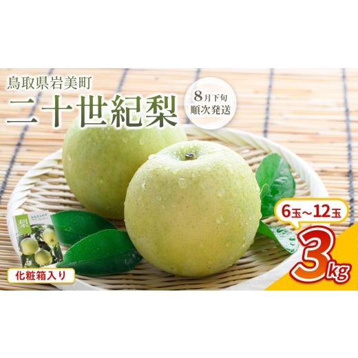 ふるさと納税 梨 鳥取県 岩美町 先行予約 中野農園 梨 "二十世紀梨" 3kg 化粧箱入り|鳥取 岩美 梨 なし ナシ 20世紀梨 青梨 果物 フルーツ お届けは2026年…