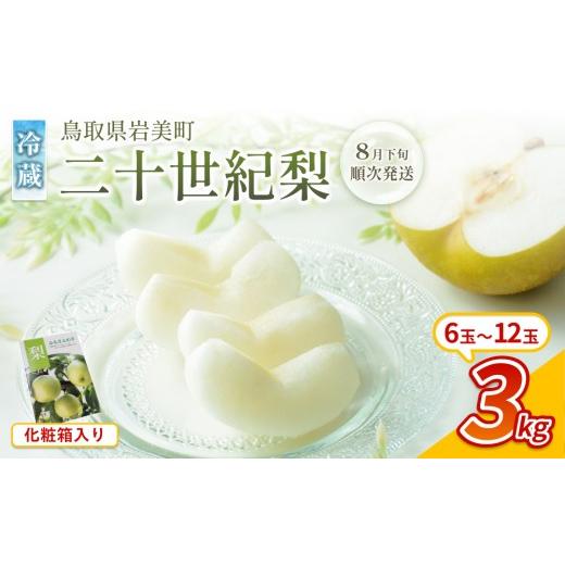 ふるさと納税 梨 鳥取県 岩美町 先行予約 中野農園 梨 "二十世紀梨" 3kg 化粧箱入り 冷蔵便発送|鳥取 岩美 梨 なし ナシ 20世紀梨 青梨 果物 フルーツ お…